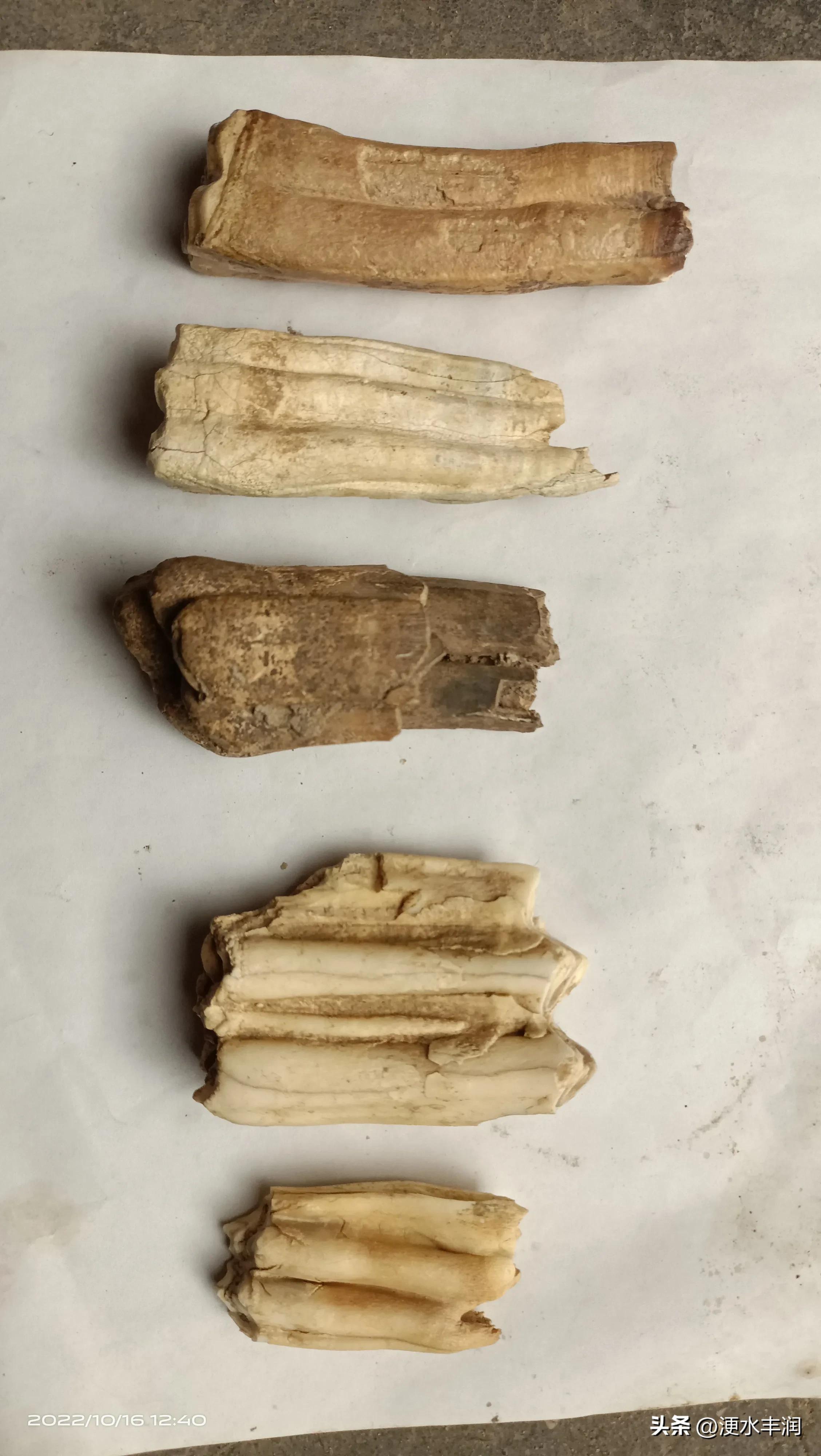 唐山的史前遗址,唐山制陶历史文化