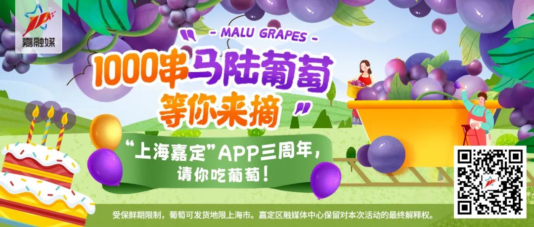 嘉定最新足球赛,2020嘉定足球赛事