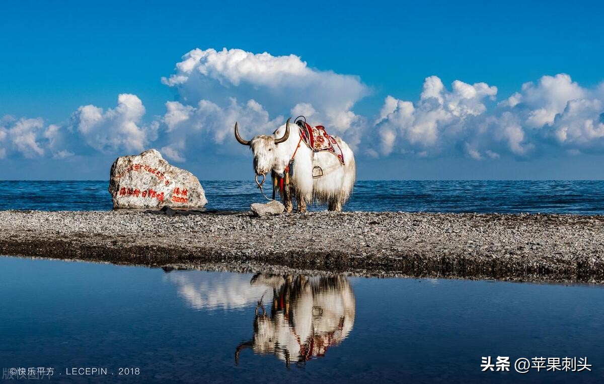 适合夏季避暑的旅游地方,适合夏季避暑的旅游推荐