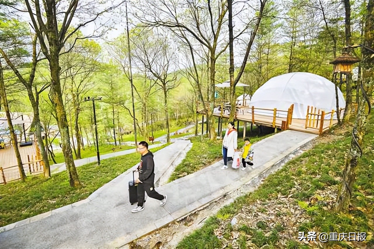 数字赋能乡村田园“锦上添花”——大巴山麓的“数字乡村”实验