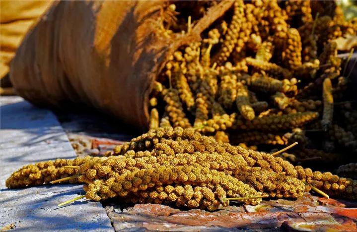 晋味美沁州黄小米怎么样,沁州黄小米10斤装多少钱