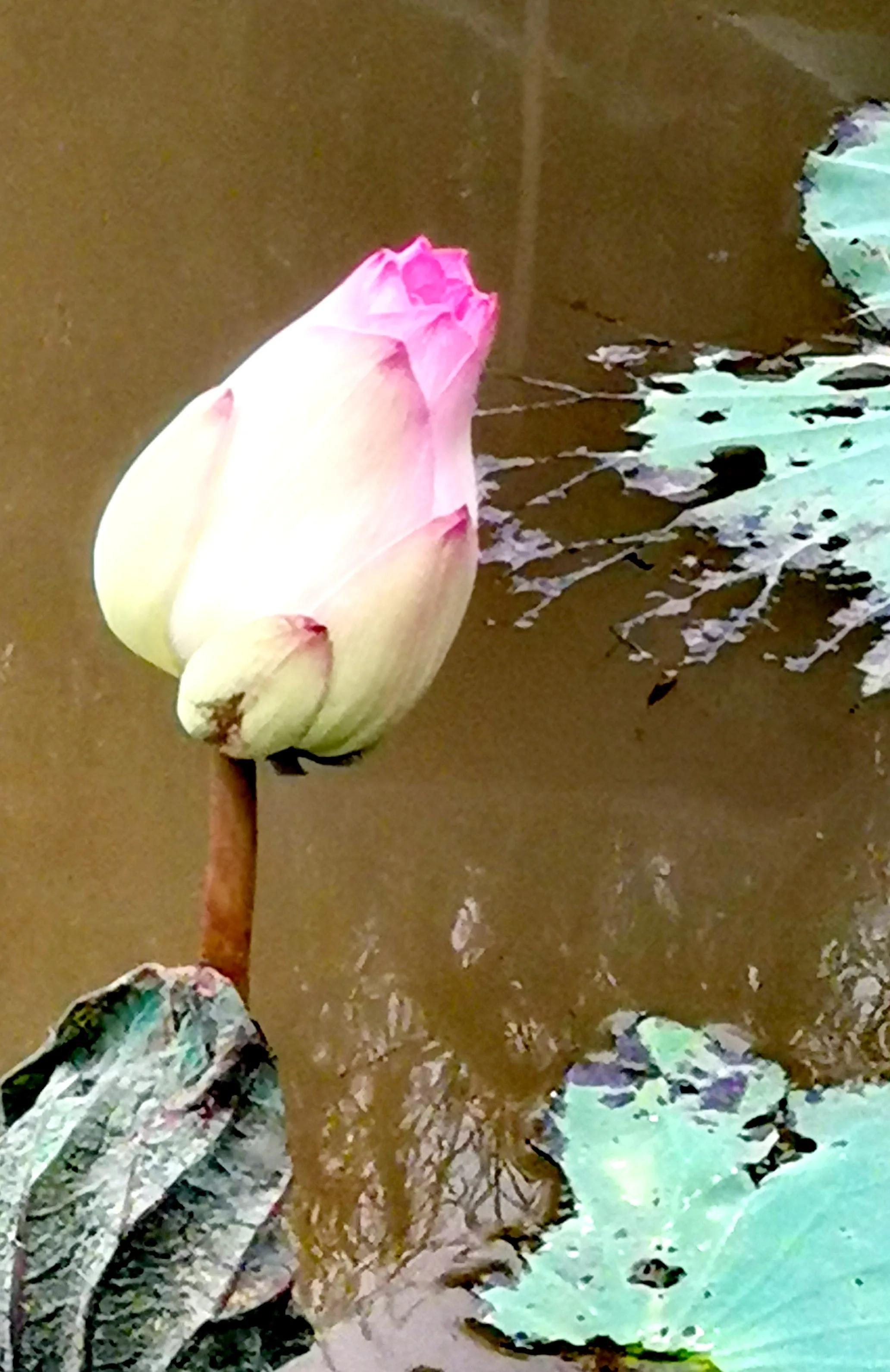 漳州市美丽的小镇,漳州长泰区旅游