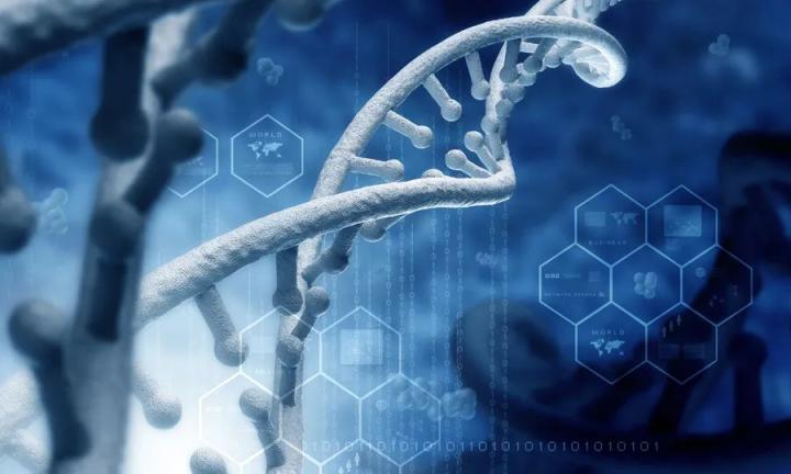 广东香虎绣球菌饮品,香虎食品品牌