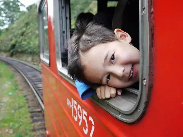 蔡美儿是怎样的母亲,蔡美儿菲律宾华人