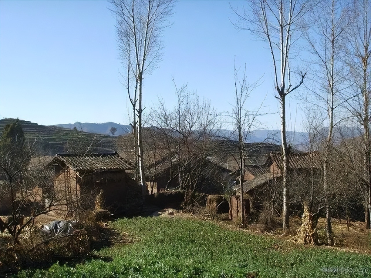 落榜的高中生李忠达