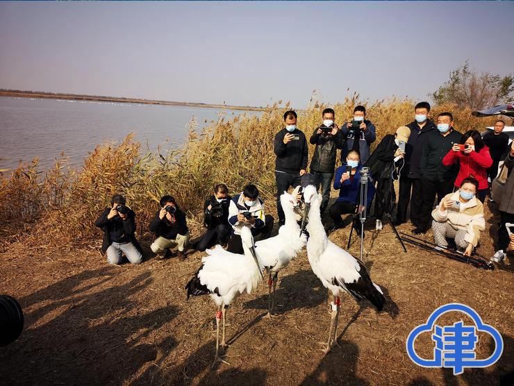 津云疫情防控核酸检测最新通知,津云权威发布核酸检测最新通知