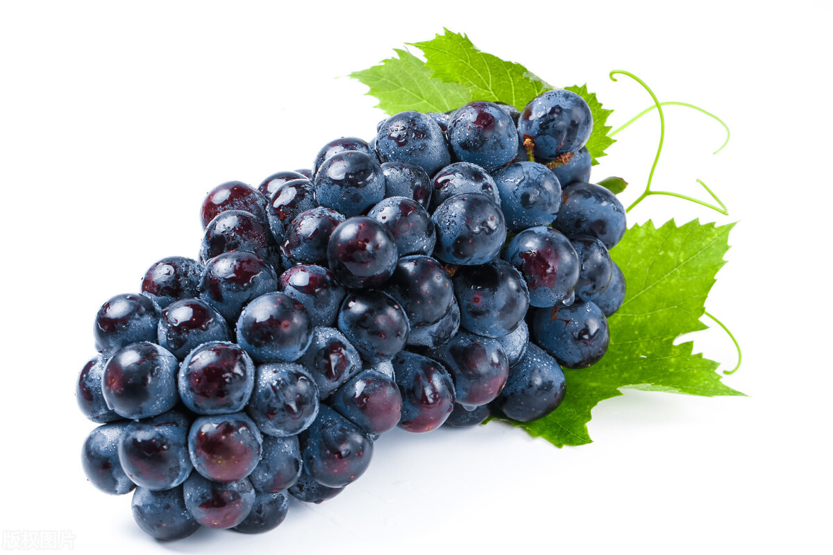 最好的减肥水果是什么水果,吃什么水果减肥最快最健康