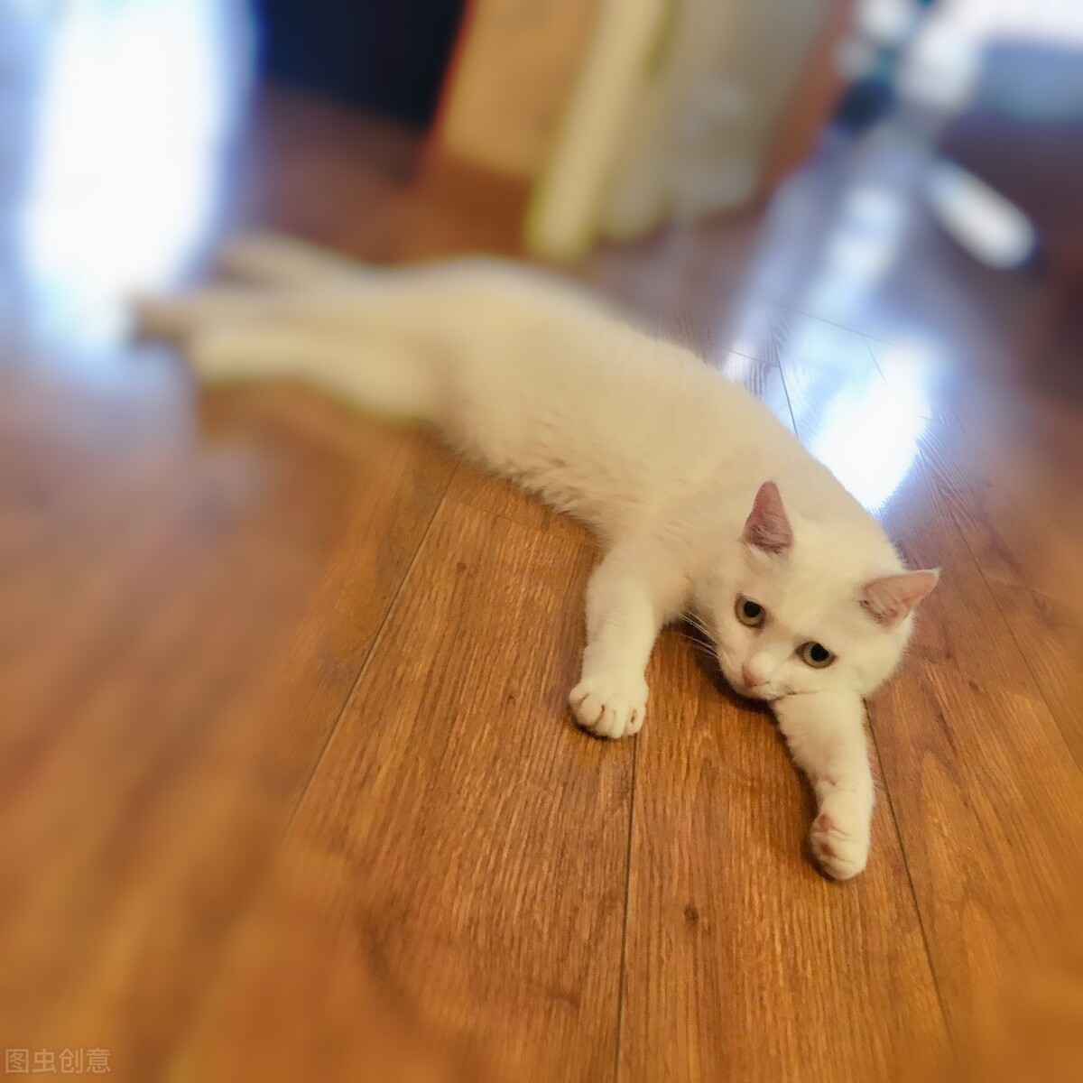 男士护肤品哪个牌子好相关推荐,男士护肤品哪个牌子好去皱纹