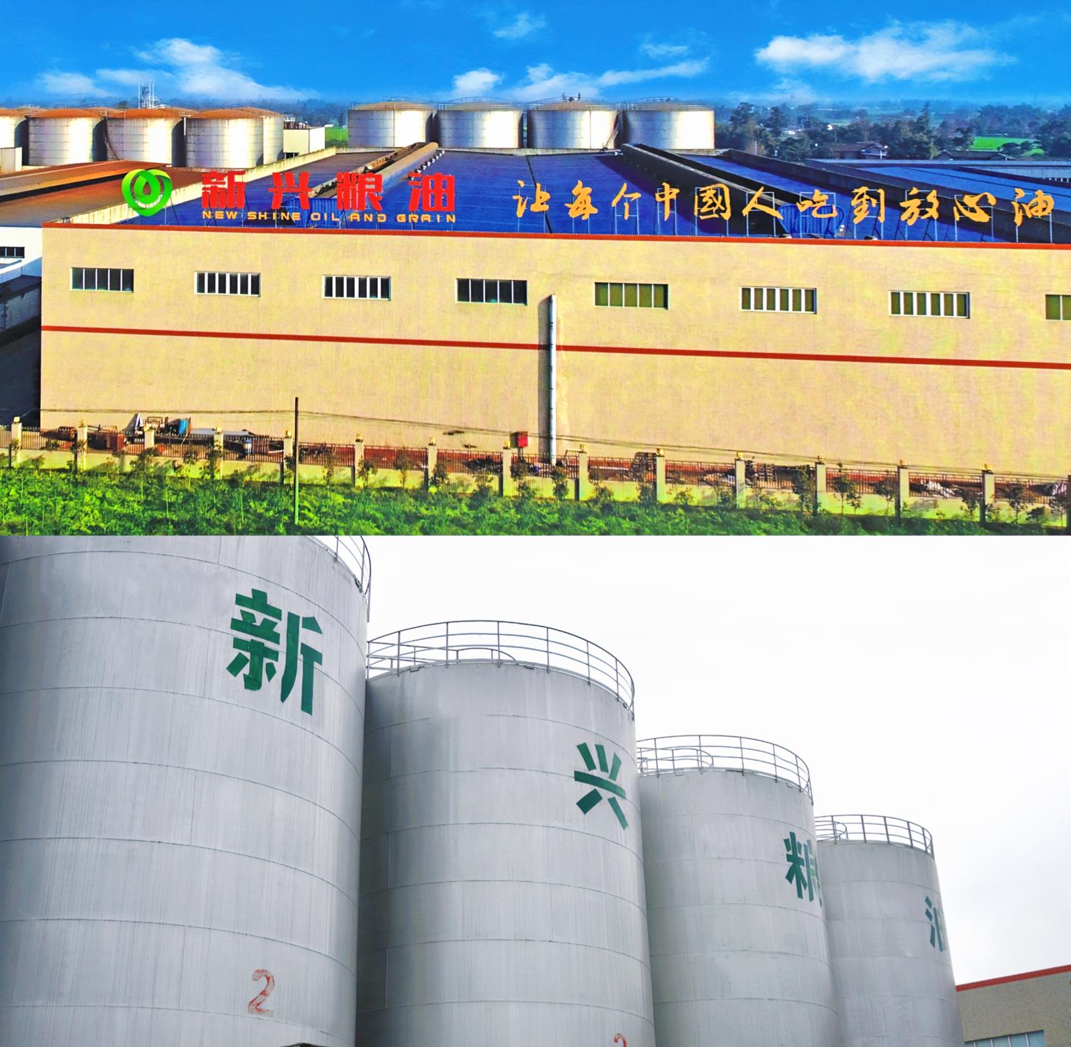 天府菜油四川浓香菜籽油,天府菜油四川风味菜籽油