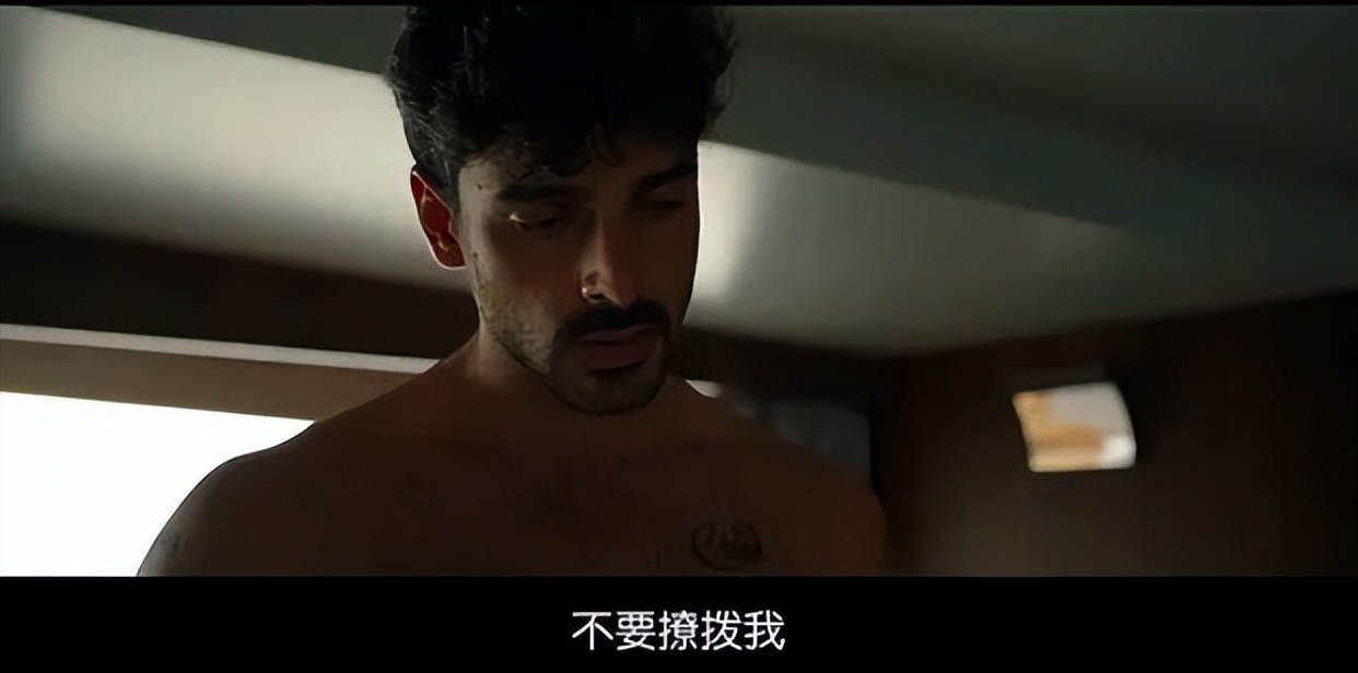 波兰版掌中之物,波兰版的掌中之物解说