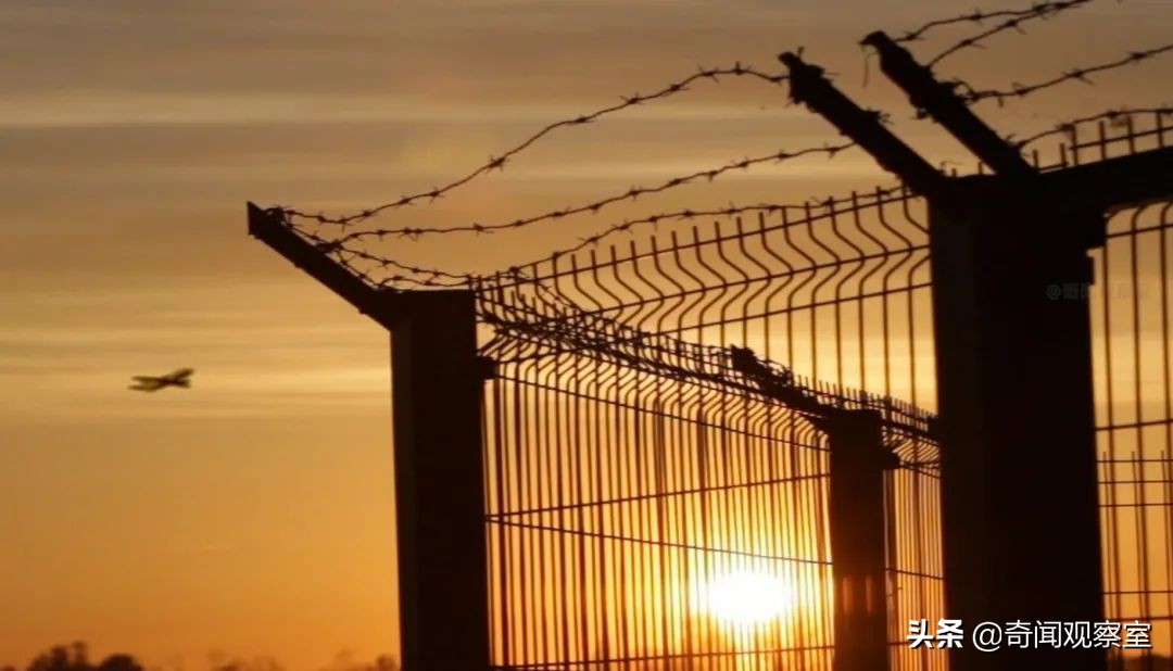 人面兽心杀妻女,人面兽心的儿媳虐待婆婆