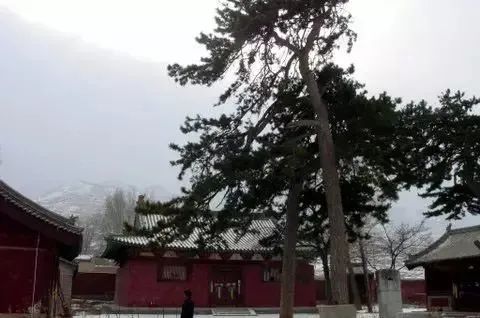 武则天和五台山有关系吗,康熙皇帝为何五次登临五台山