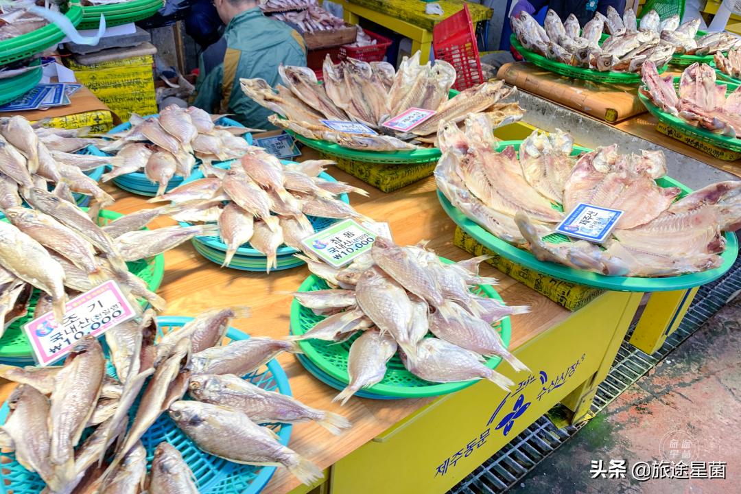 济州岛有雨季吗,韩国济州岛六月雨季