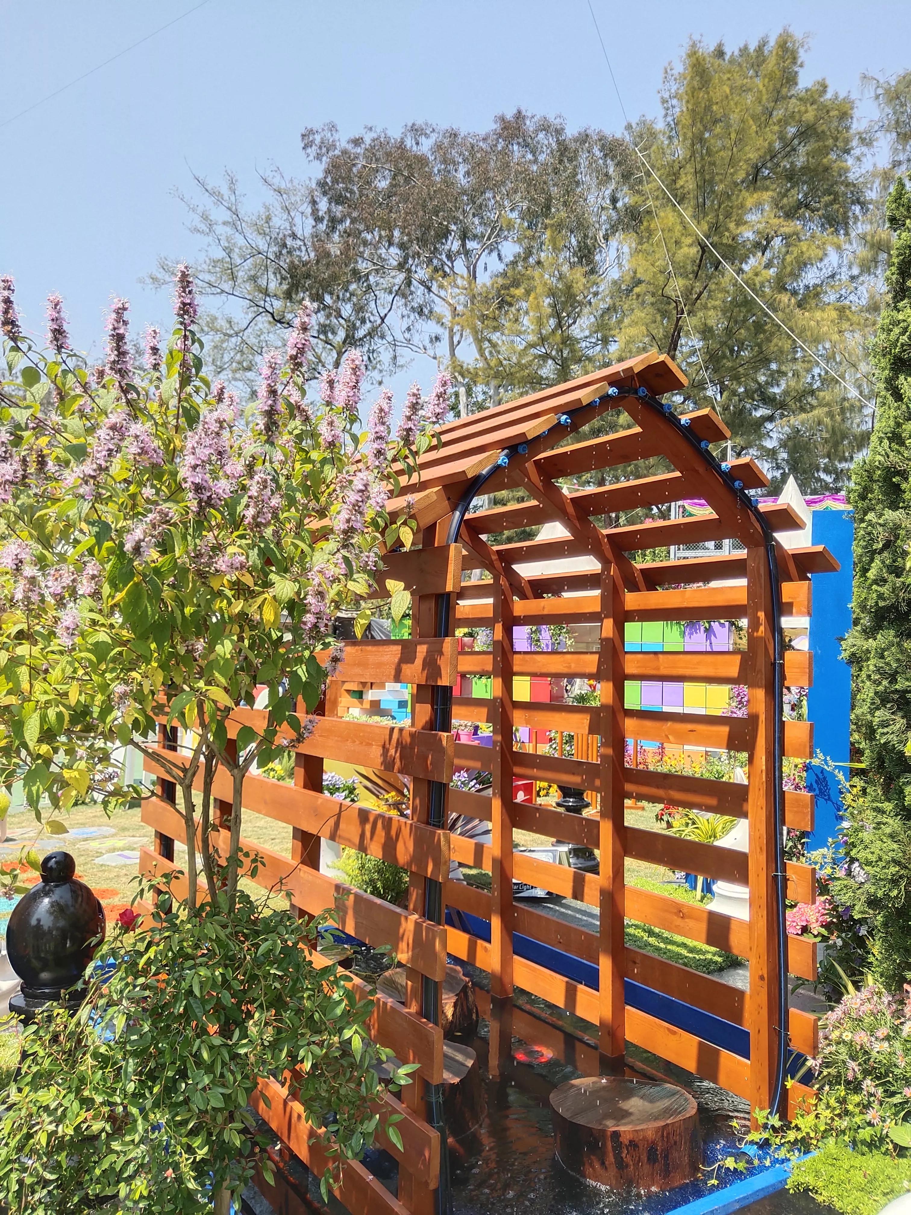 香港参观,参观花展感悟