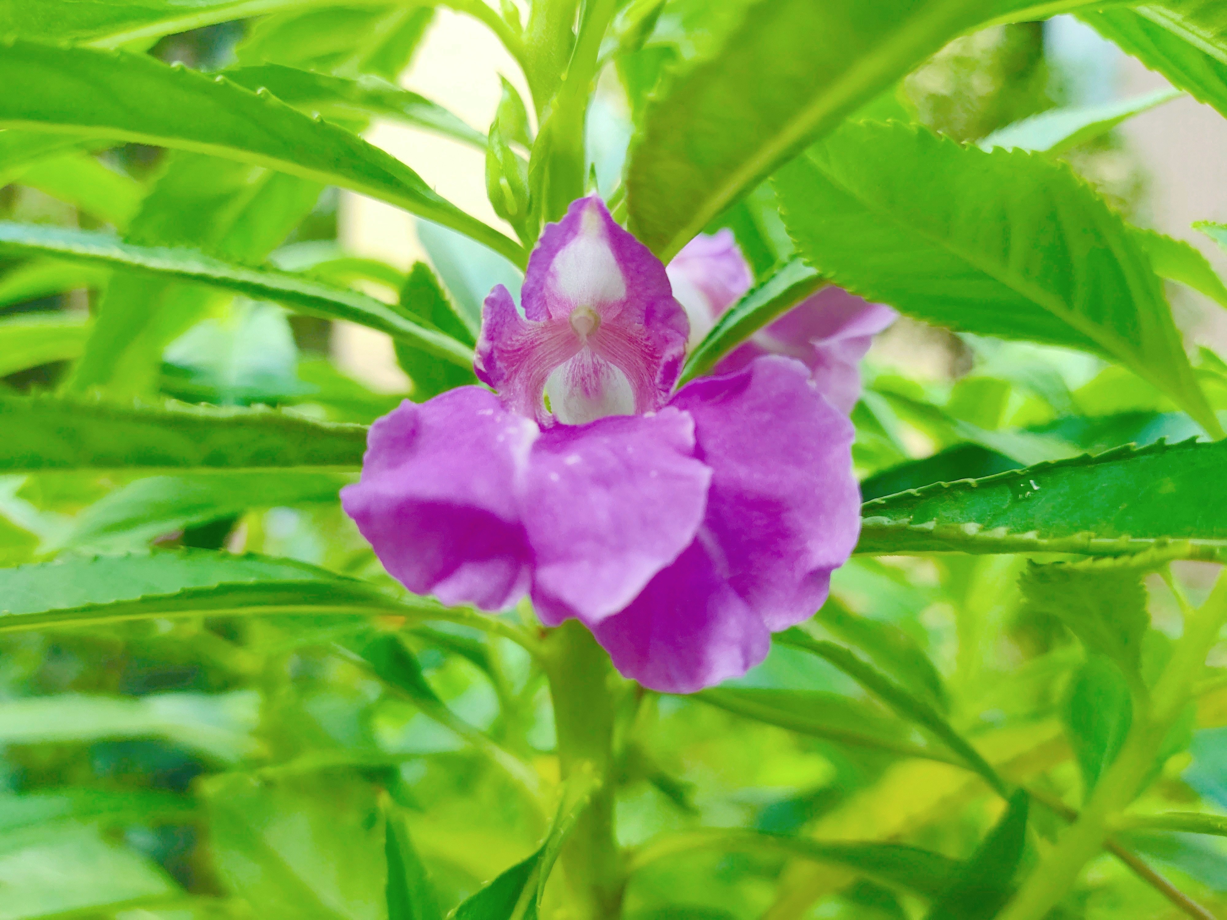 相亲见面两次可以发展到什么地步,同一个相亲对象介绍两次