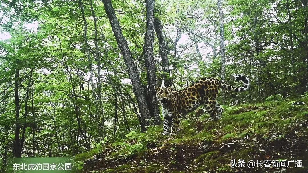 喜迎二十大奋进新征程视频短片,喜迎二十大奋进新征程表演视频