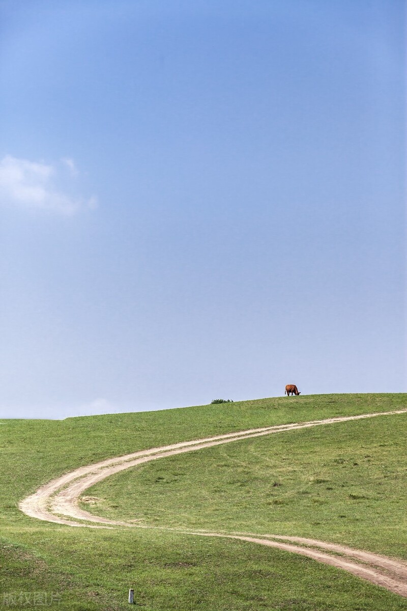 国内最值得自驾的七条绝美路线,此生必去的中国100个攻略