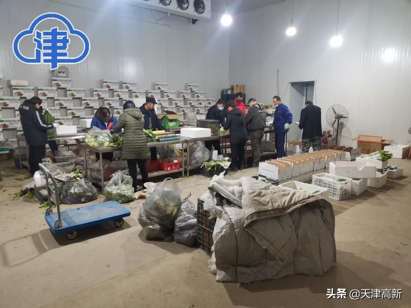 千问千寻大运河武清段,千问千寻大运河武清