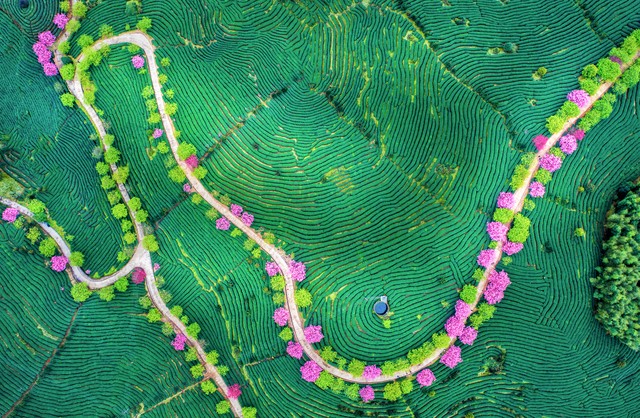 2022年优秀高考作文范例全国甲卷,2022全国乙卷英语高考作文怎么写