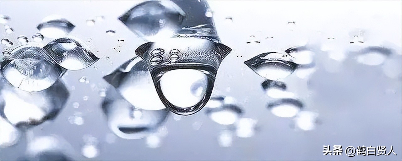 蓝藻的前世今生,蓝藻前世今生