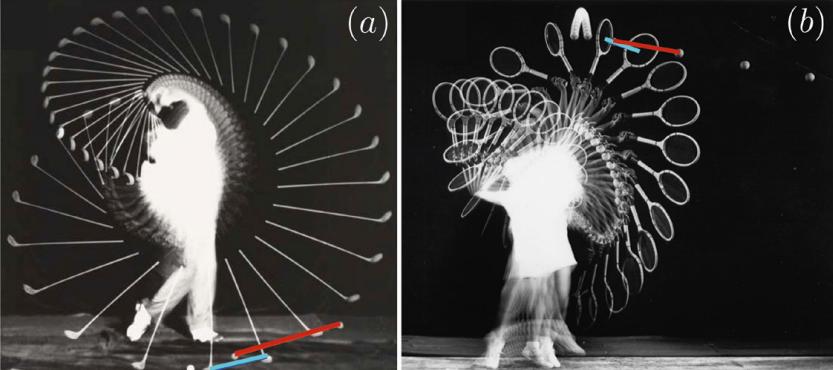 球类运动哪些球最重要,各球类运动代表人物