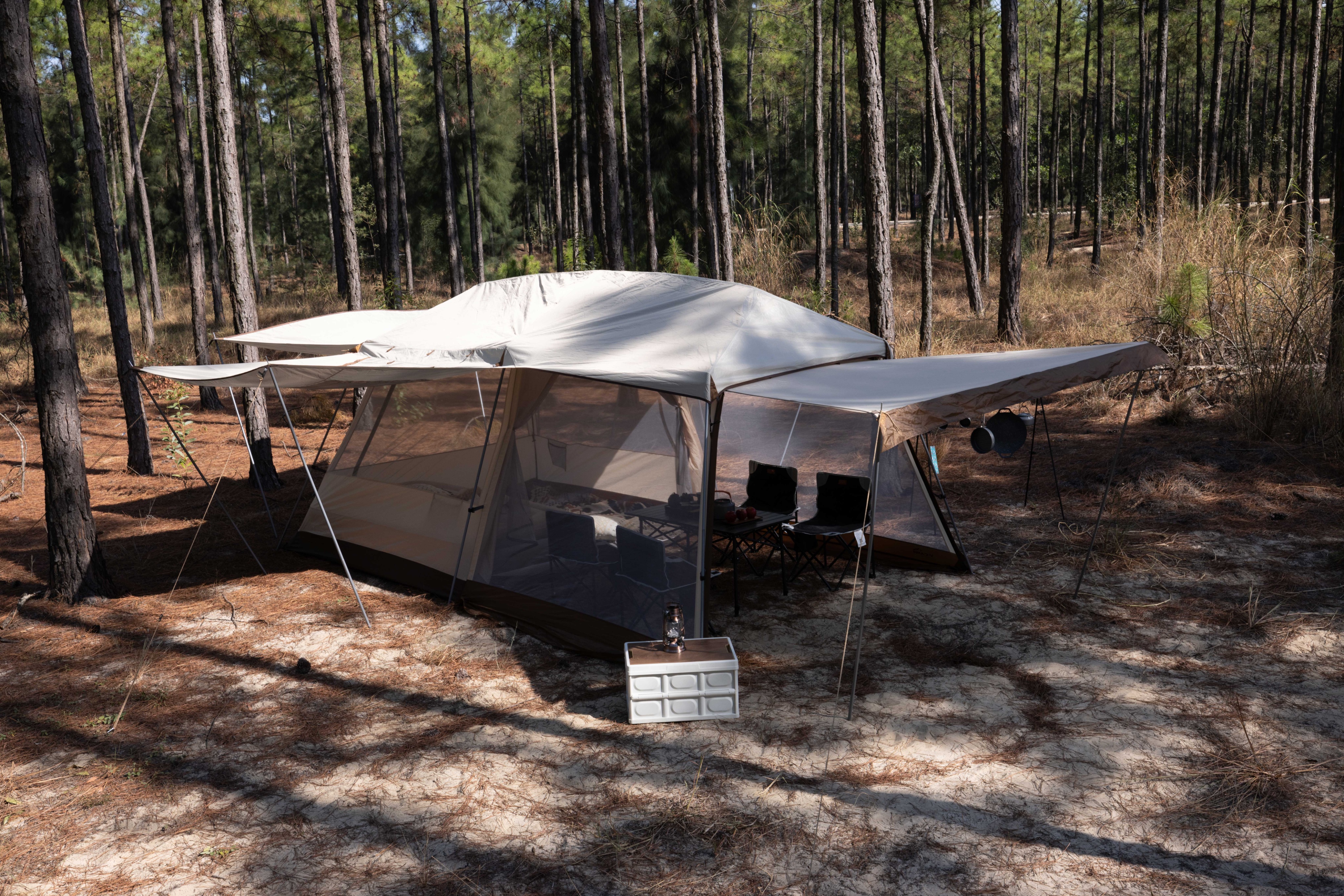 国产之光a级车,国产之光维生素e