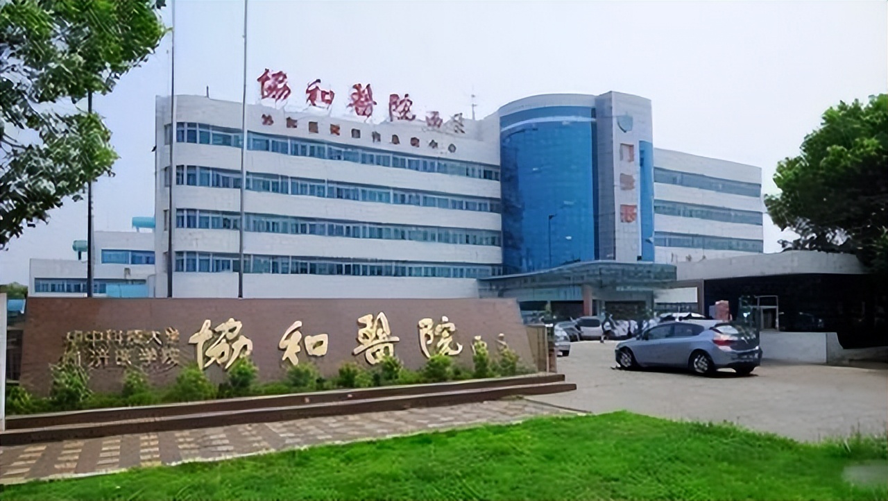 湖北女子生下连体婴儿,湖北孕妇生下首例“连体女婴”