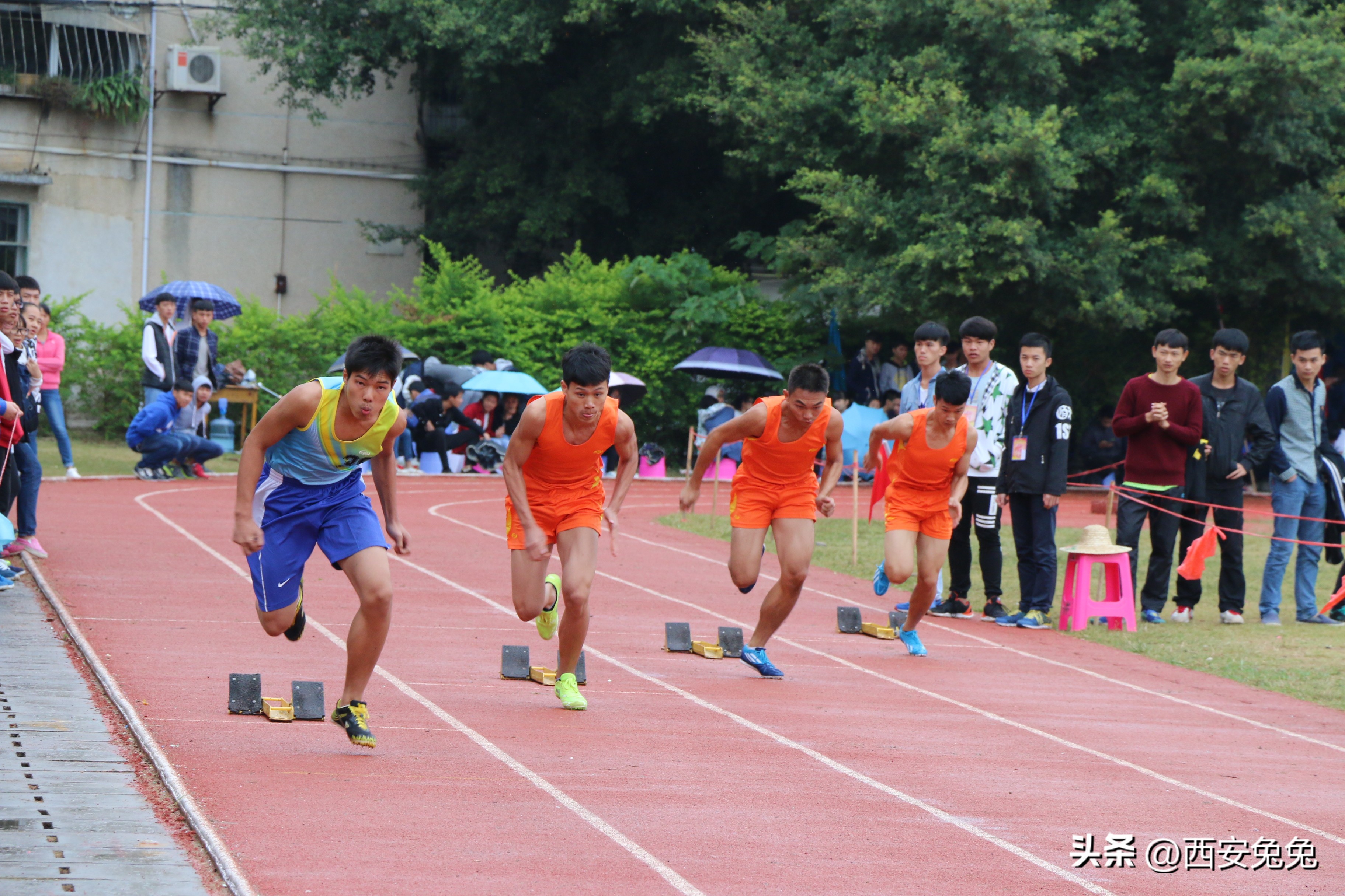 西安2022体育特长生招生,2024年西安市体育特长生招生政策