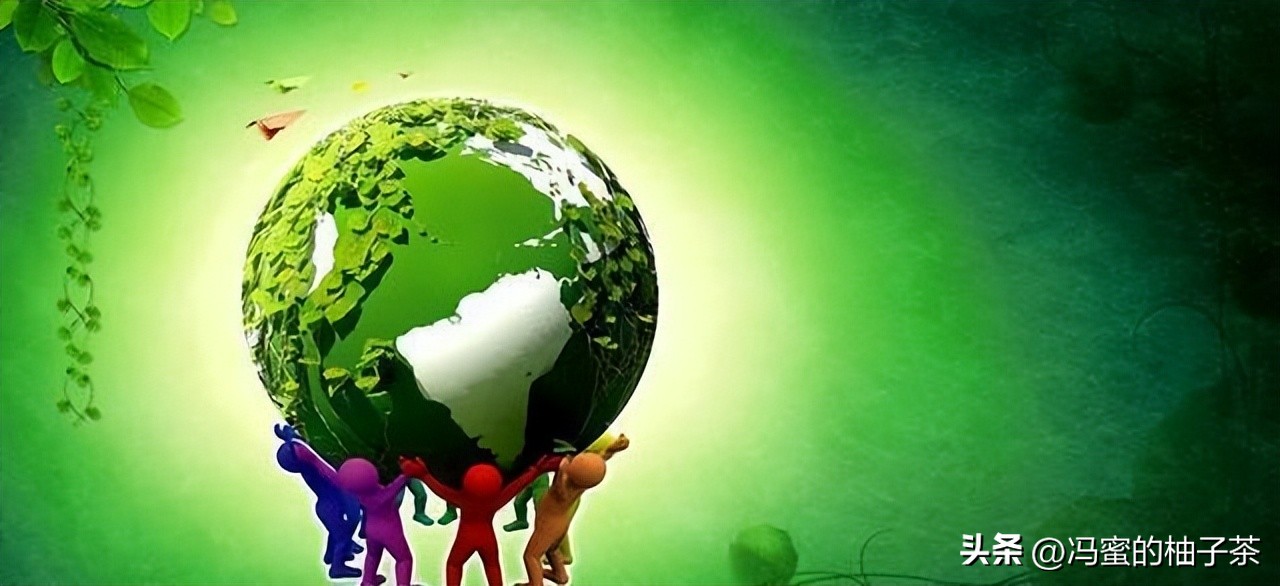 生物多样性的保险价值，在经济学框架中有何意义？