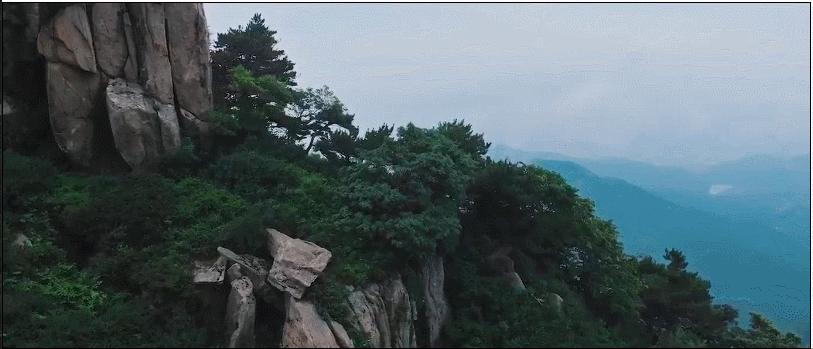 疯狂连更！山东这场持续两个月的直播，观看量超3.7亿