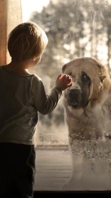 宠物去世后感慨的句子,宠物去世是什么感受