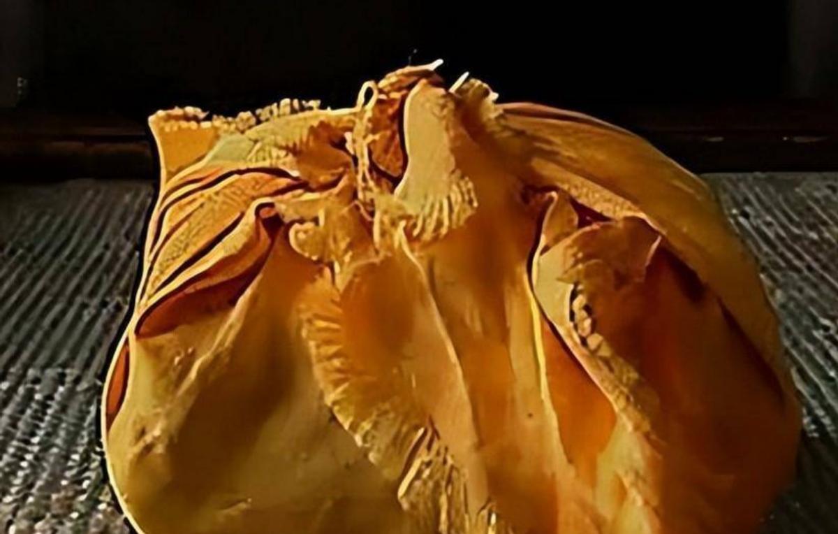 1971年内蒙退伍军人救下一老人，获赠小泥球，38年后发现价值2亿