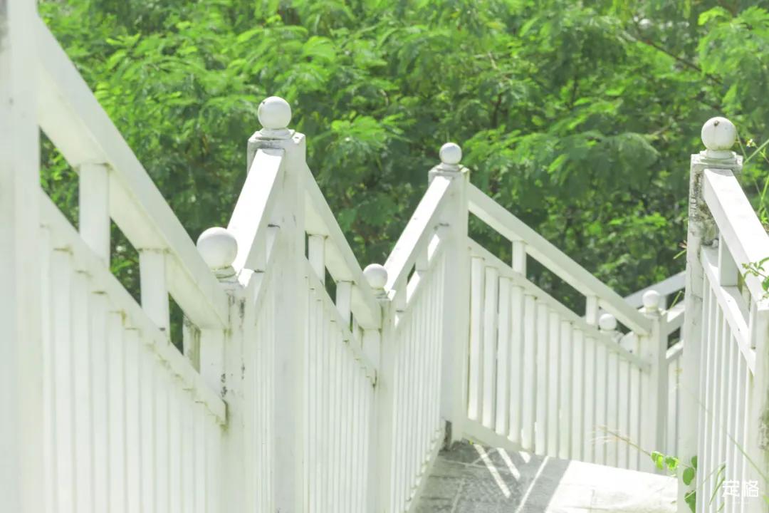 深圳百米长「纯白登山梯」，打卡绝了