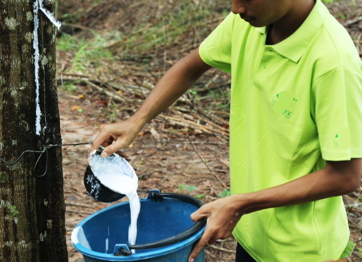 乳胶枕头为何火爆,乳胶枕头是不是收智商税