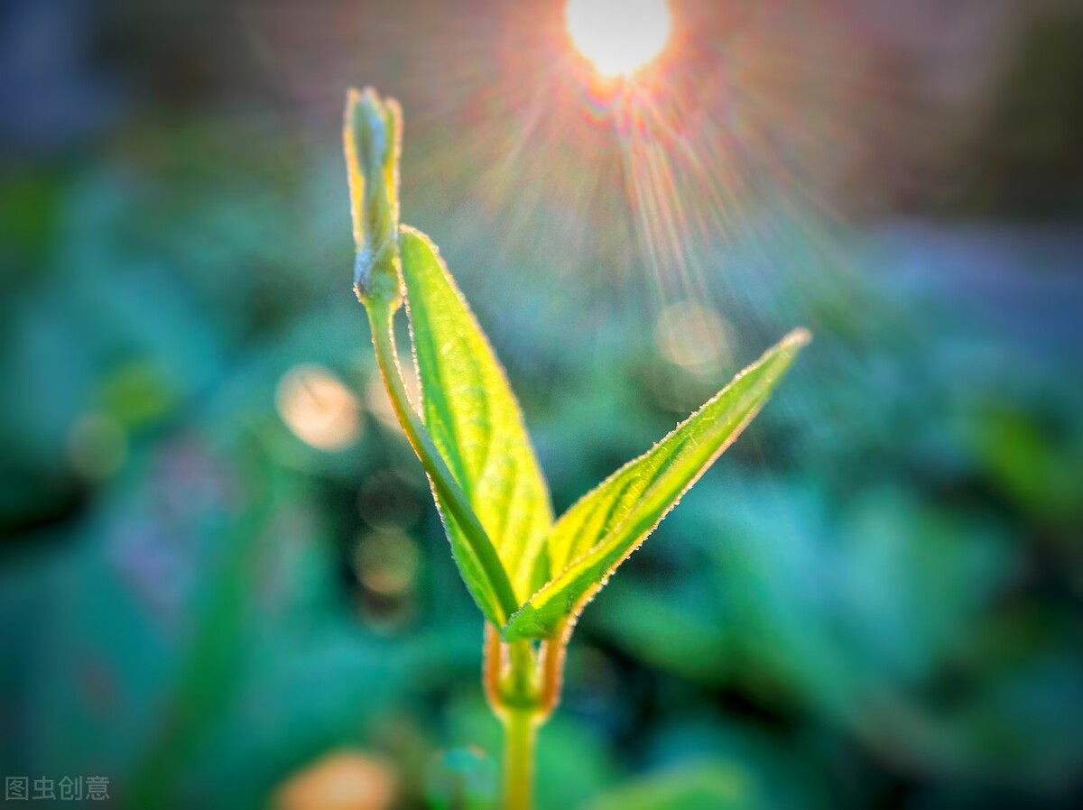 心累做什么可以治愈,心里苦如何克服
