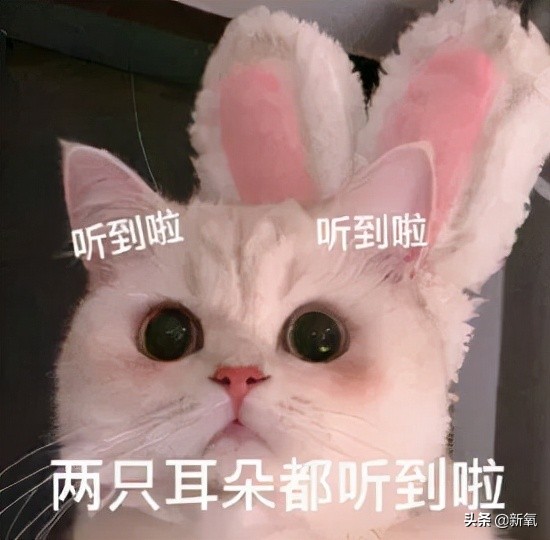 小霸宠承认结婚了吗,小霸宠门事件