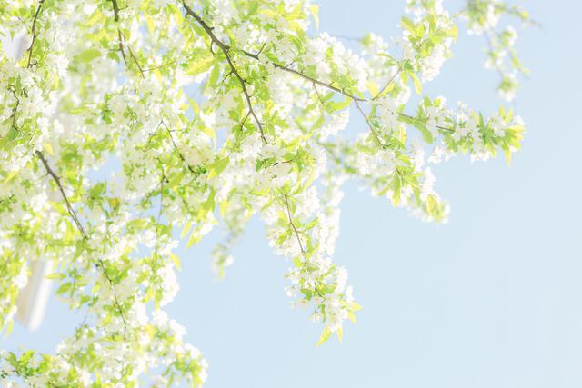 女人这样称呼你说明有点喜欢你,女人这样称呼你是不是喜欢你