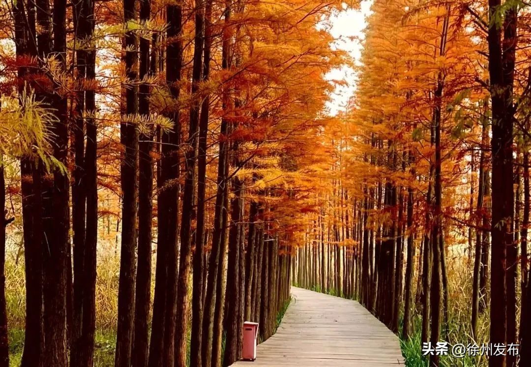 贾汪从煤城到山水之城的华丽转身,非凡十年山东烟台