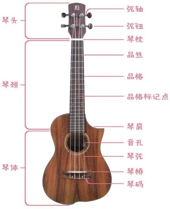 保姆级扫弦教学尤克里里,乐器培训尤克里里