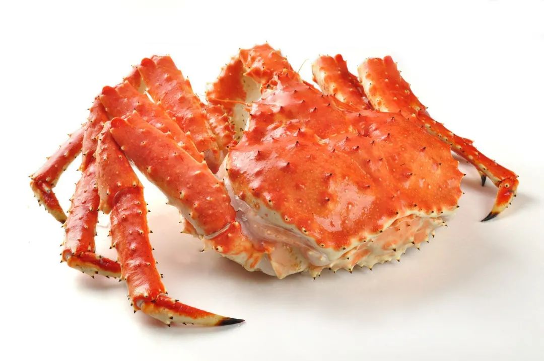 冷冻螃蟹为什么不能买,外面卖的冷冻螃蟹能吃吗