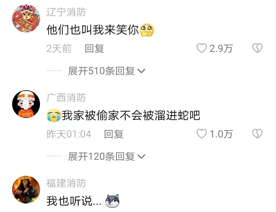 猩猩扔水瓶砸伤游客账号,动物园称猩猩砸伤游客系正当防卫