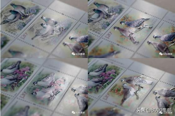 《国家公园》与《鸽》“双首日”遭遇“双打折”