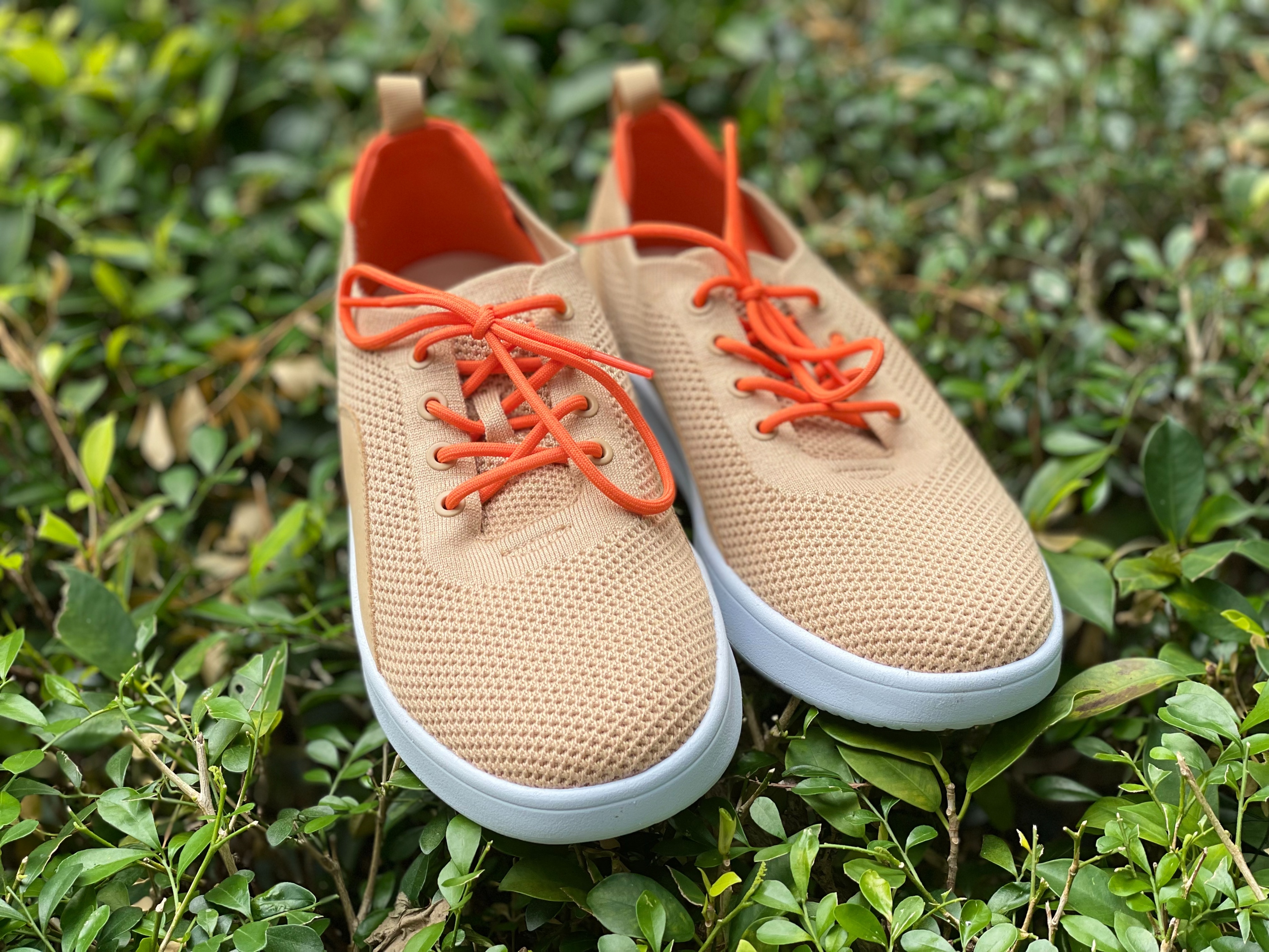 从洋品牌到国潮,从大牌到国货