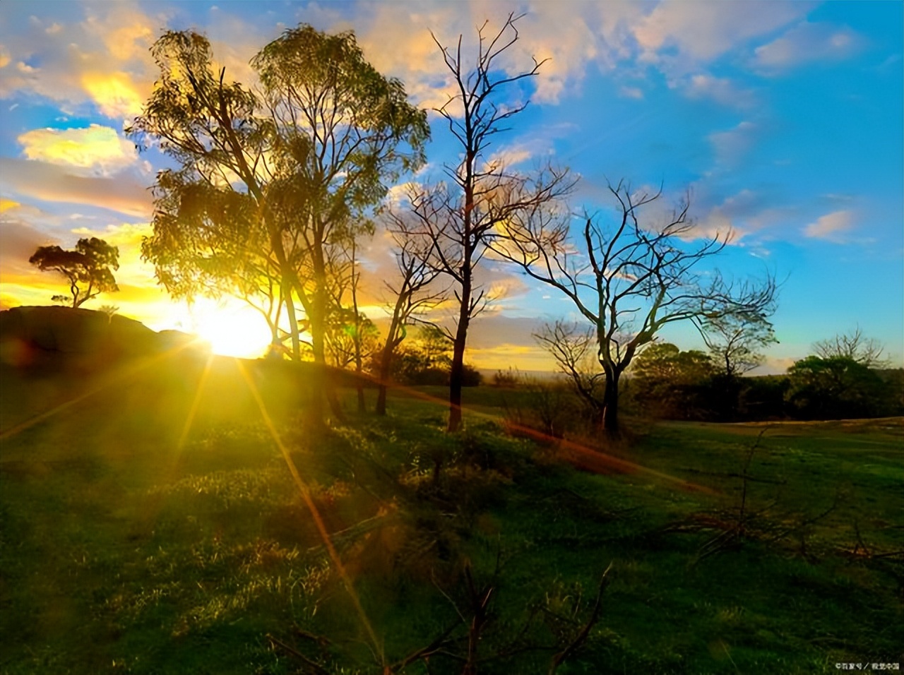 早晨高情商早安励志语,励志早安语录正能量文案短句