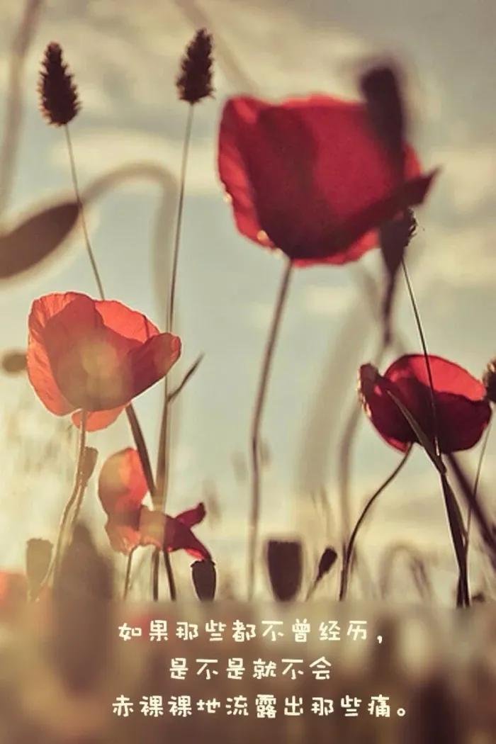 分手治愈自己的文案高级感,夫妻分手伤感25句经典文案