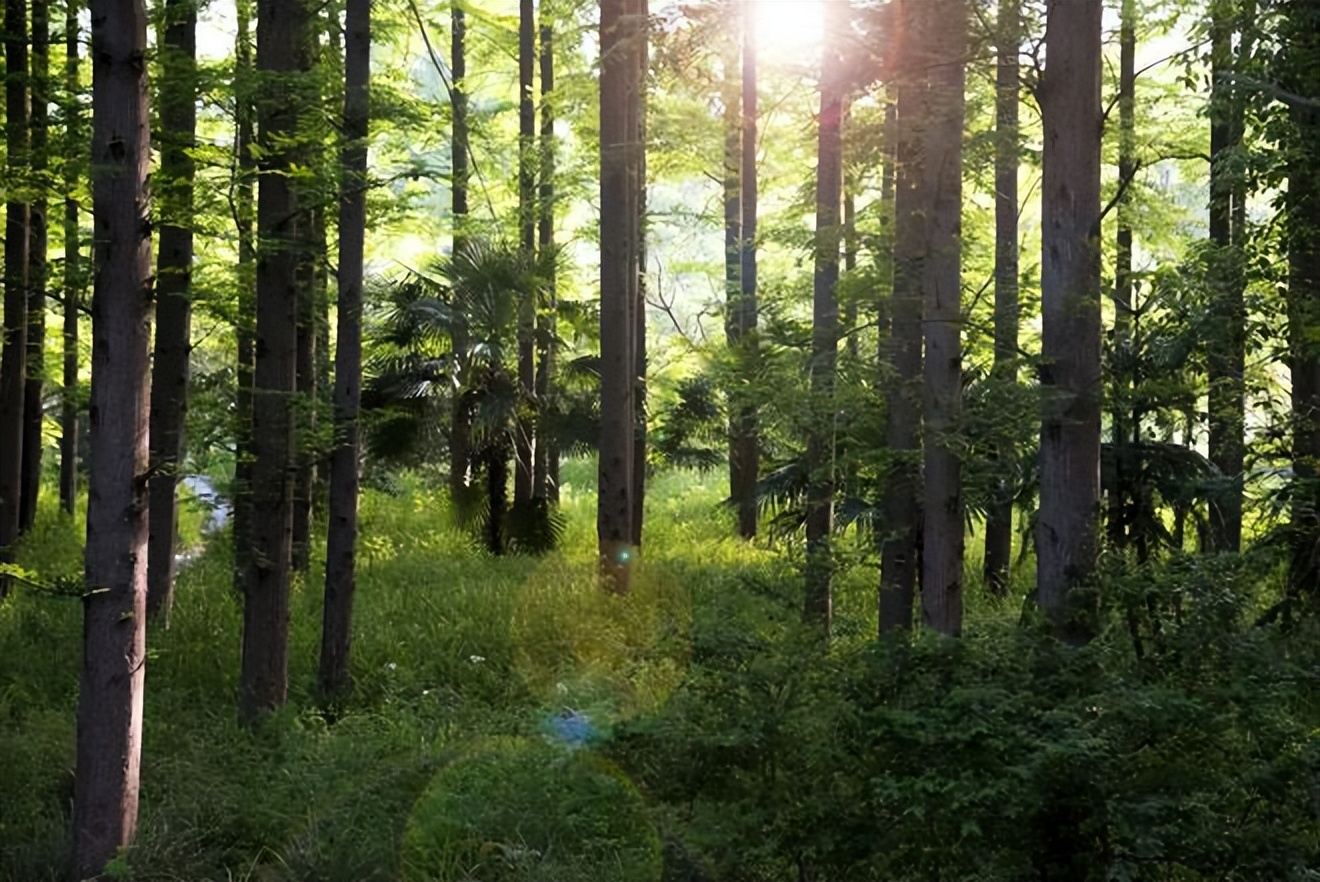 济南这些旅游景区可半价或免费游,济南11家景区将免费