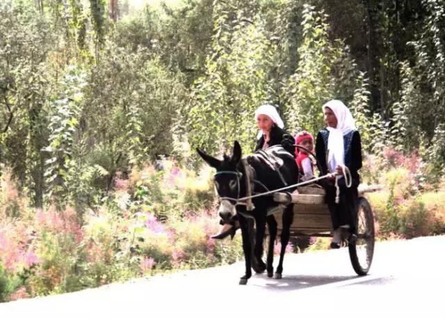 原来*疆新**这么大？终于知道为啥不包邮了...