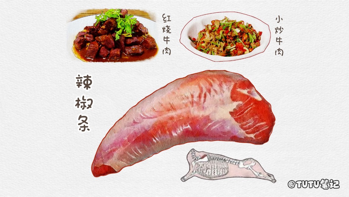 市面上的牛肉太多了怎样挑选牛肉,比较好吃的牛肉品种