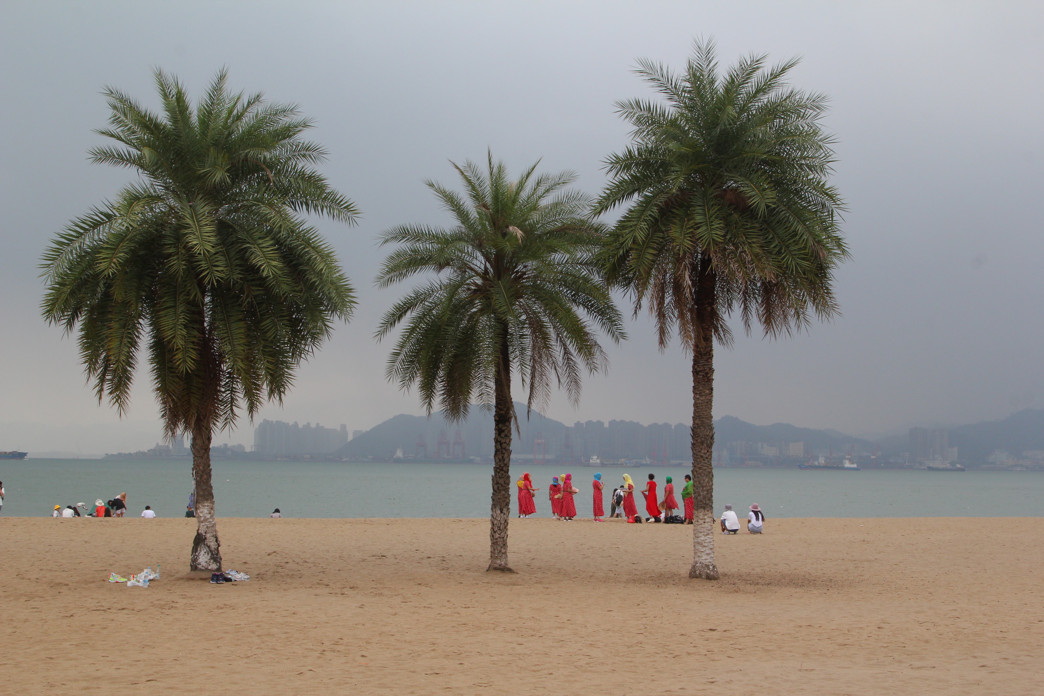 厦门一座来了就不想走的城市,去鼓浪屿不想逛太久