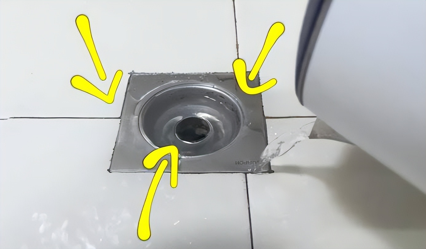 驱卫生间小飞虫小妙招,卫生间小飞虫根治办法图解